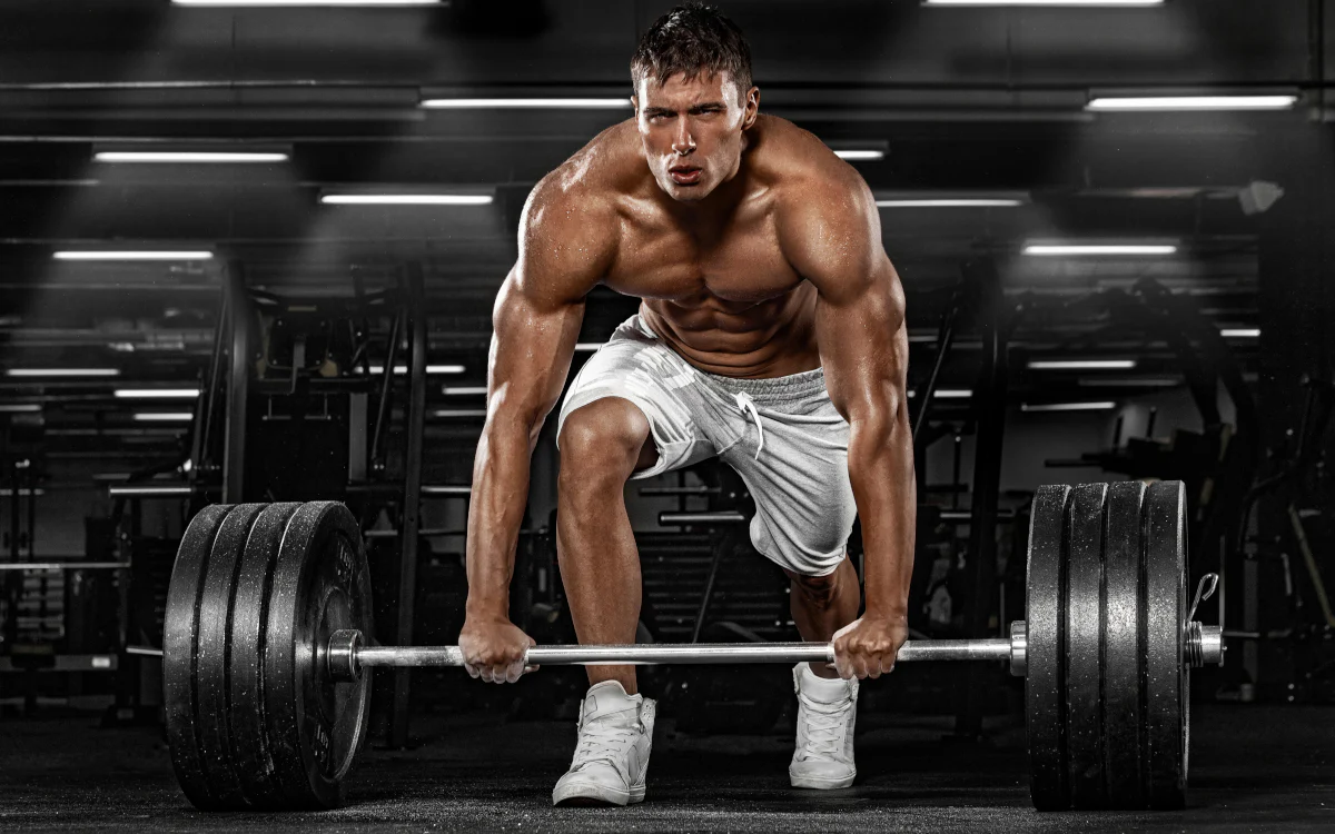 HGH Bodybuilding Cycle 2026: Muscle Growth, Fat Loss, Dosage & Results Guide